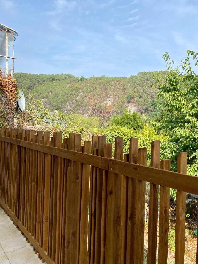 Magnifique 2/4 Pers - Le Leo Saint-Leonard-des-Bois